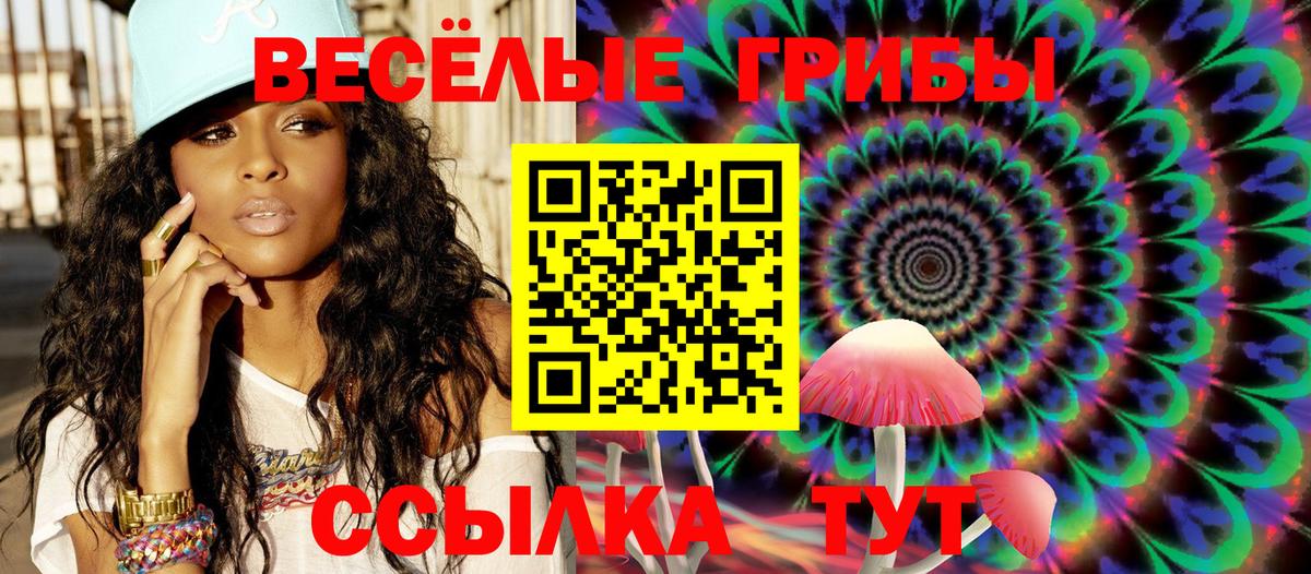 Коломна  Галлюциногенные грибы прущие грибы  Галлюциногенные грибы MAGIC MUSHROOMS  Вход с VPN 